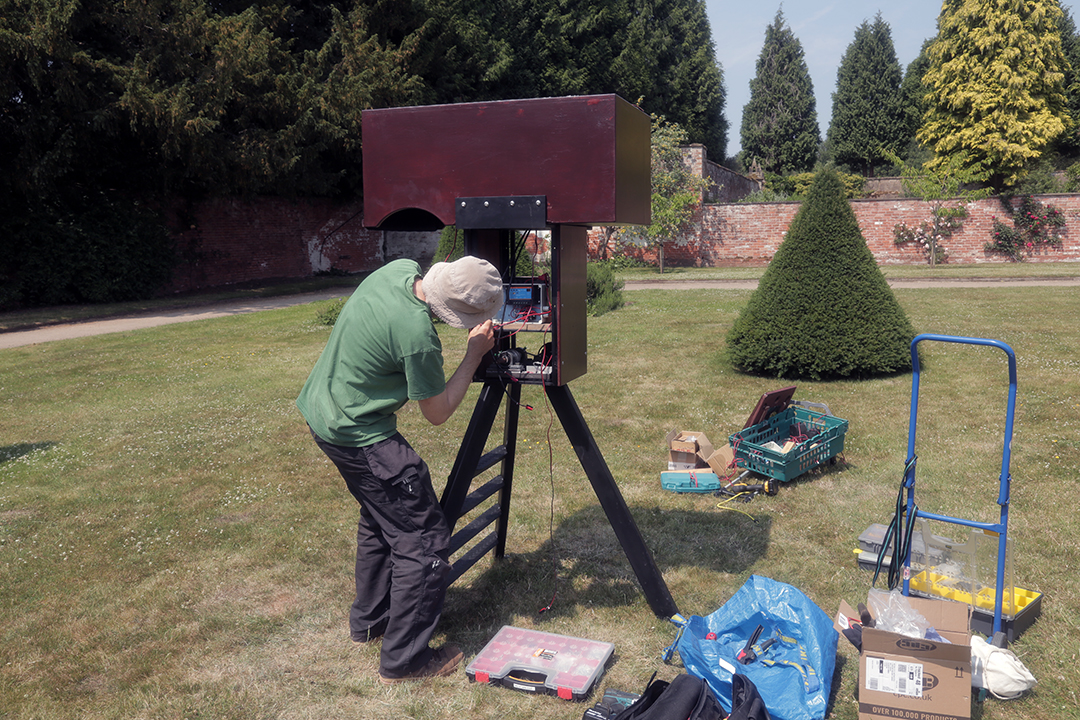 Hart of the Wood at Newstead Abbey